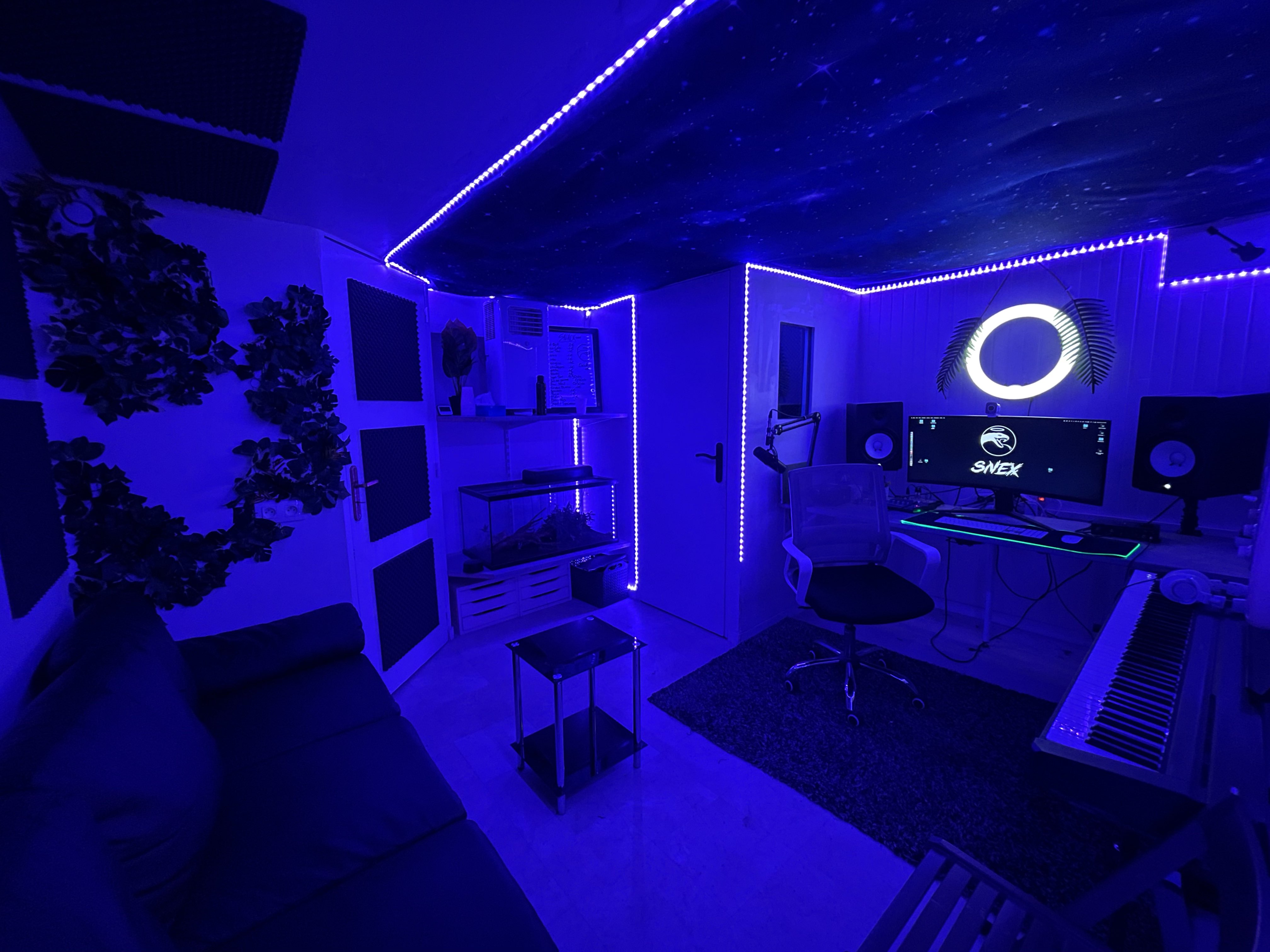 Photo du studio Snex